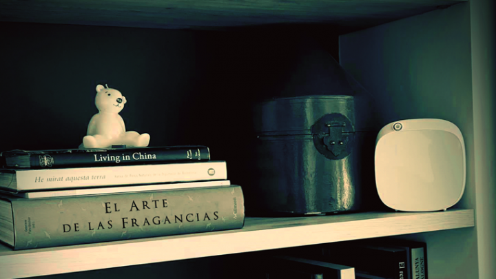 Brumizadores decorativos funcionales