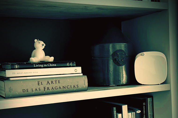 Brumizadores decorativos funcionales