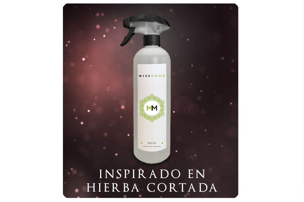 Delhi Dheli Ambientador